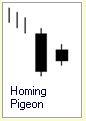 Candlestick Formation :: Homing Pigeon