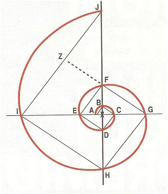 Seitenverhältnisse in der logarithmischen Spirale