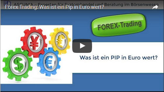 Was Ist Ein Pip In Euro Wert Video Forex Trading Ascunia Trading - 